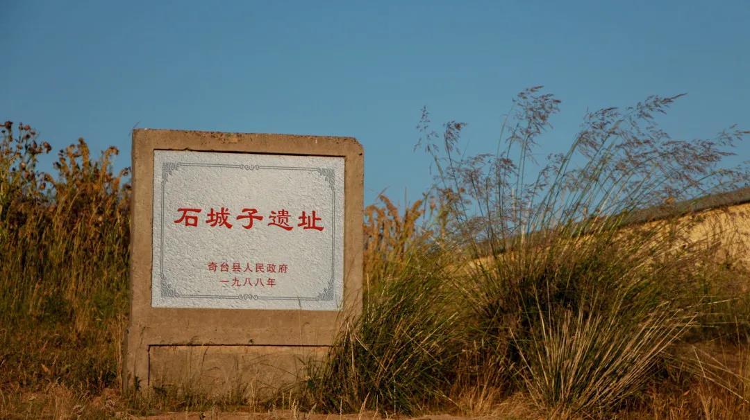 天山麦海江布拉克