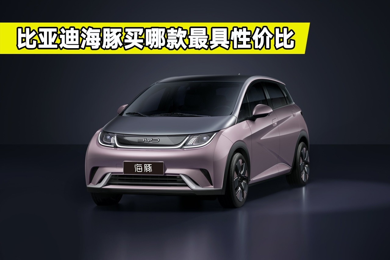 比亚迪海豚购车指南，预售四款车型怎么选？买对不买贵