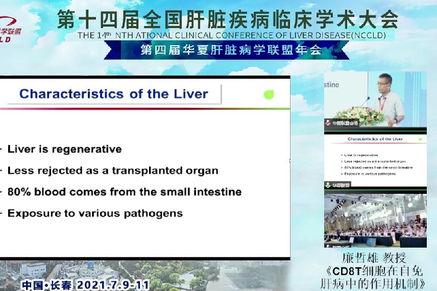 廉哲雄 ：CD8 T细胞在自身免疫性肝病中的作用机制