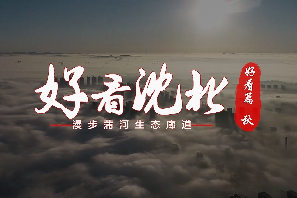 好看沈北丨漫步蒲河生态廊道