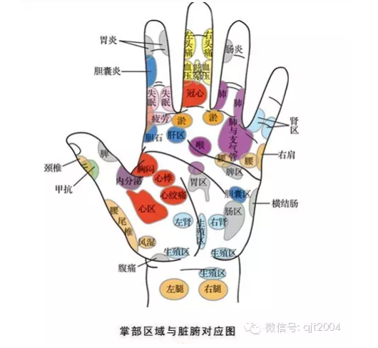 简单手诊要知晓预防保健很必要