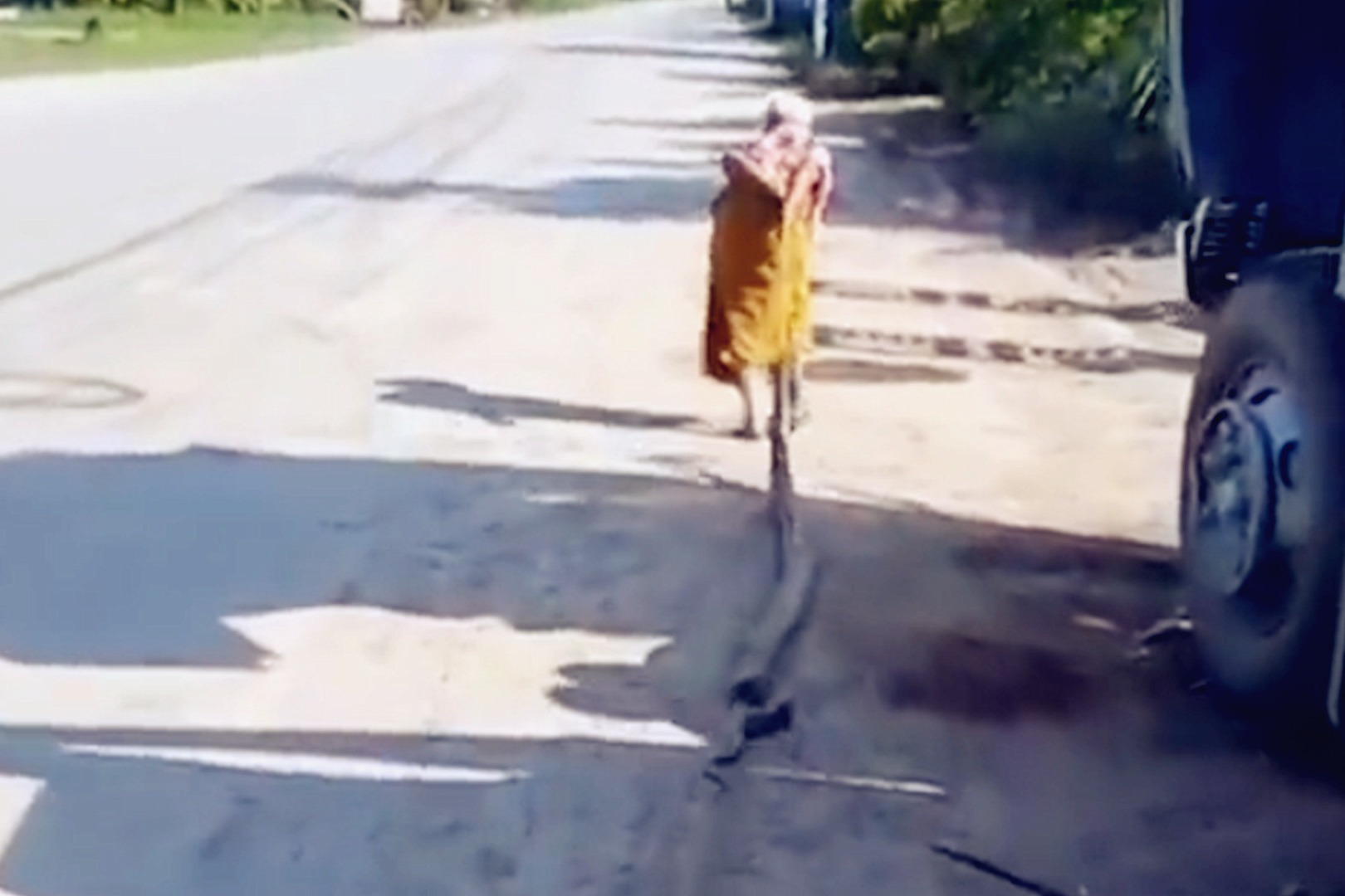 这是高手！实拍：泰国一老奶奶拖着3米长蟒蛇“游街”！