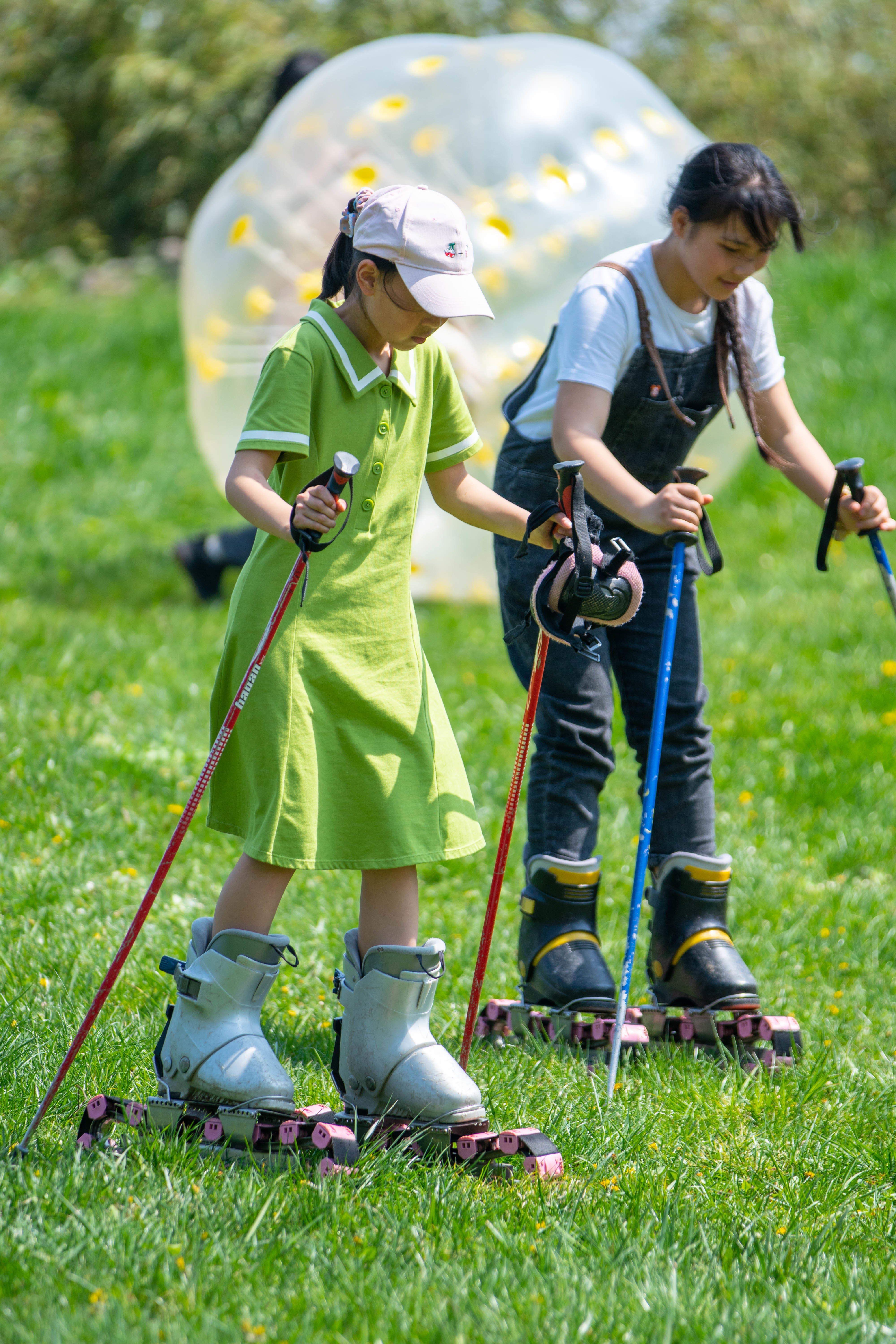 草尖已有慢慢褪黄的趋势蕴含生机的草地在秋风吹拂下隐藏在后山的滑草