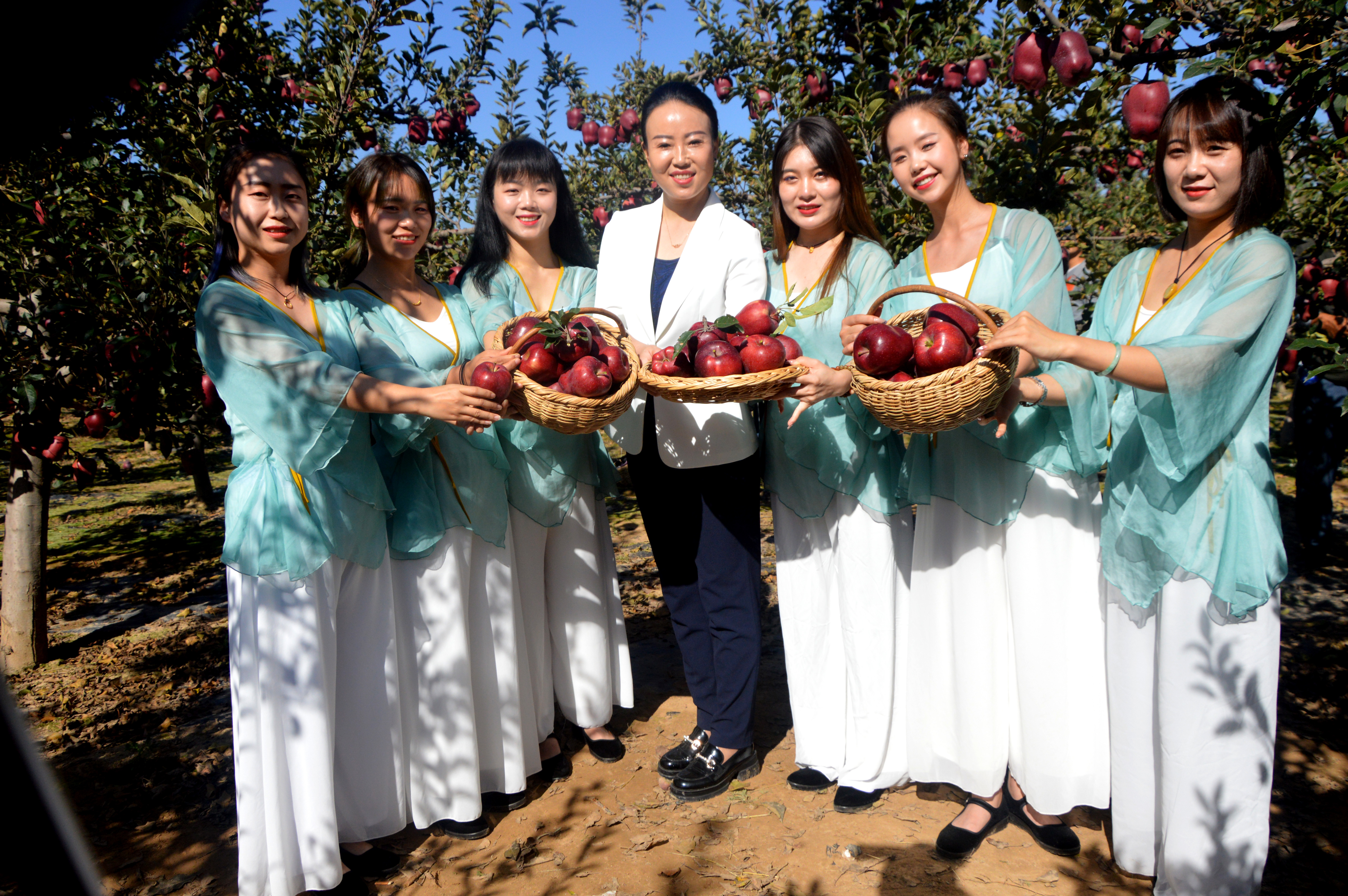 代言中共甘谷县白家湾乡党委书记姜芳芳为花牛苹果代言打开凤凰新闻