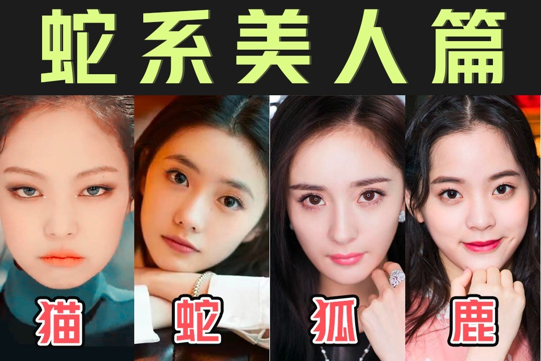 动物系长相里,美的像把刀的一定是蛇系吧!