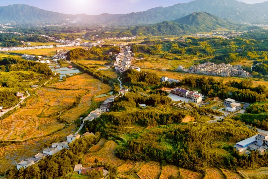 江西修水：秋日“丰”景美如画