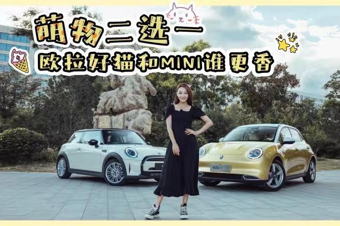 萌物二选一｜欧拉好猫和MINI谁更香