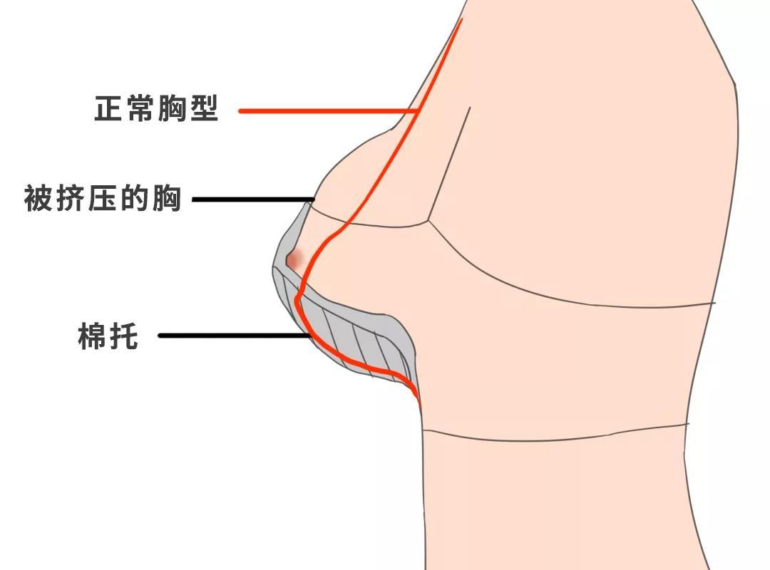 错了30年关于选内衣的3个真相95女性不知道