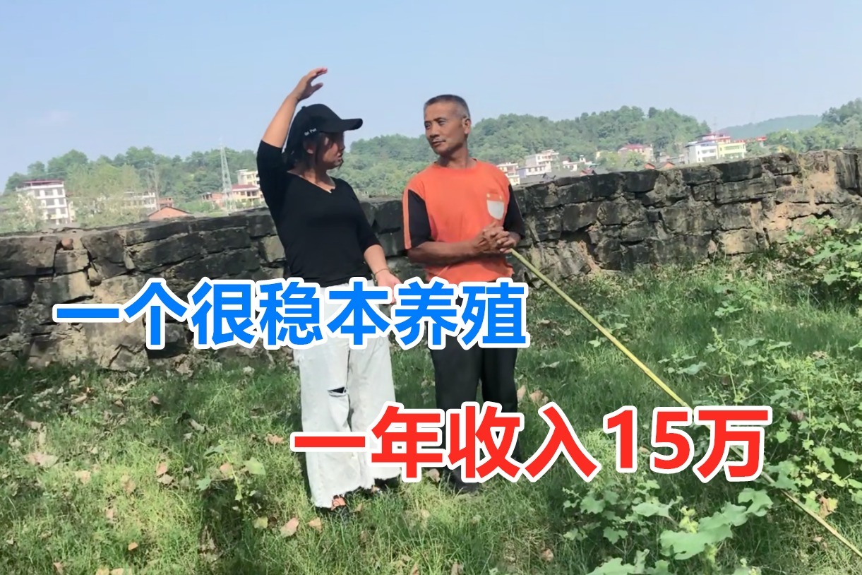 起步8只发苗，投入1000多块，2年后年入15万，一个很稳本的养殖！