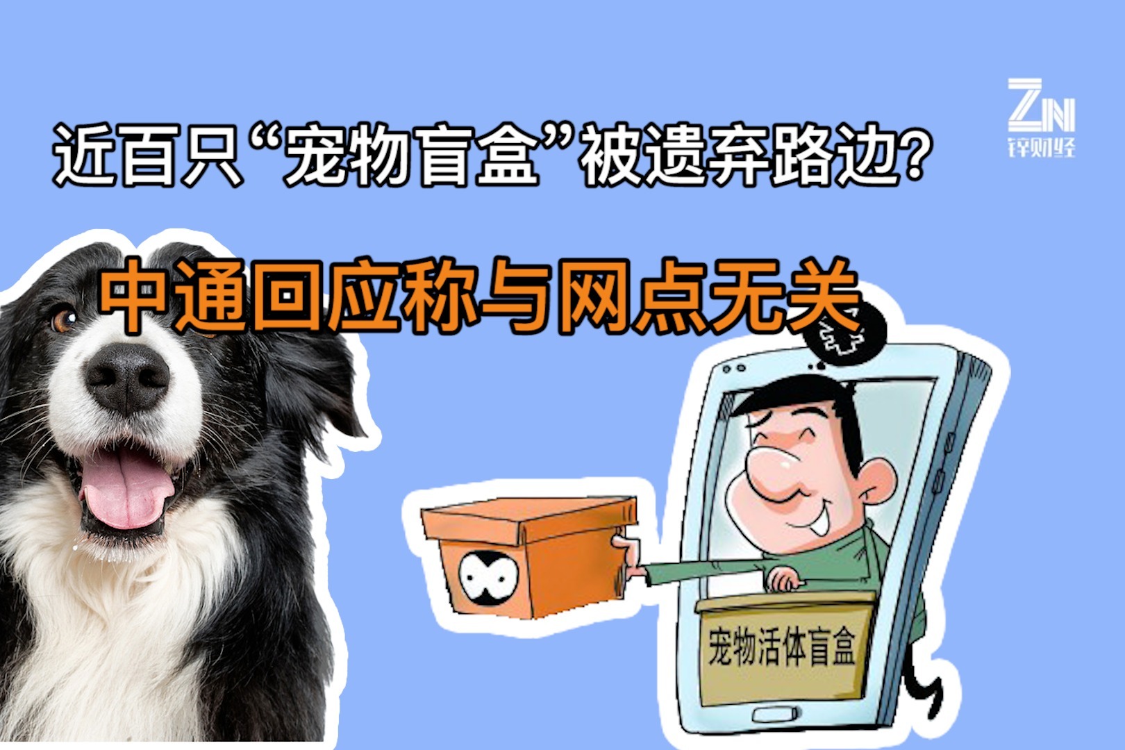 上海中通网点被曝非法运输百余只猫狗！中通回应了！