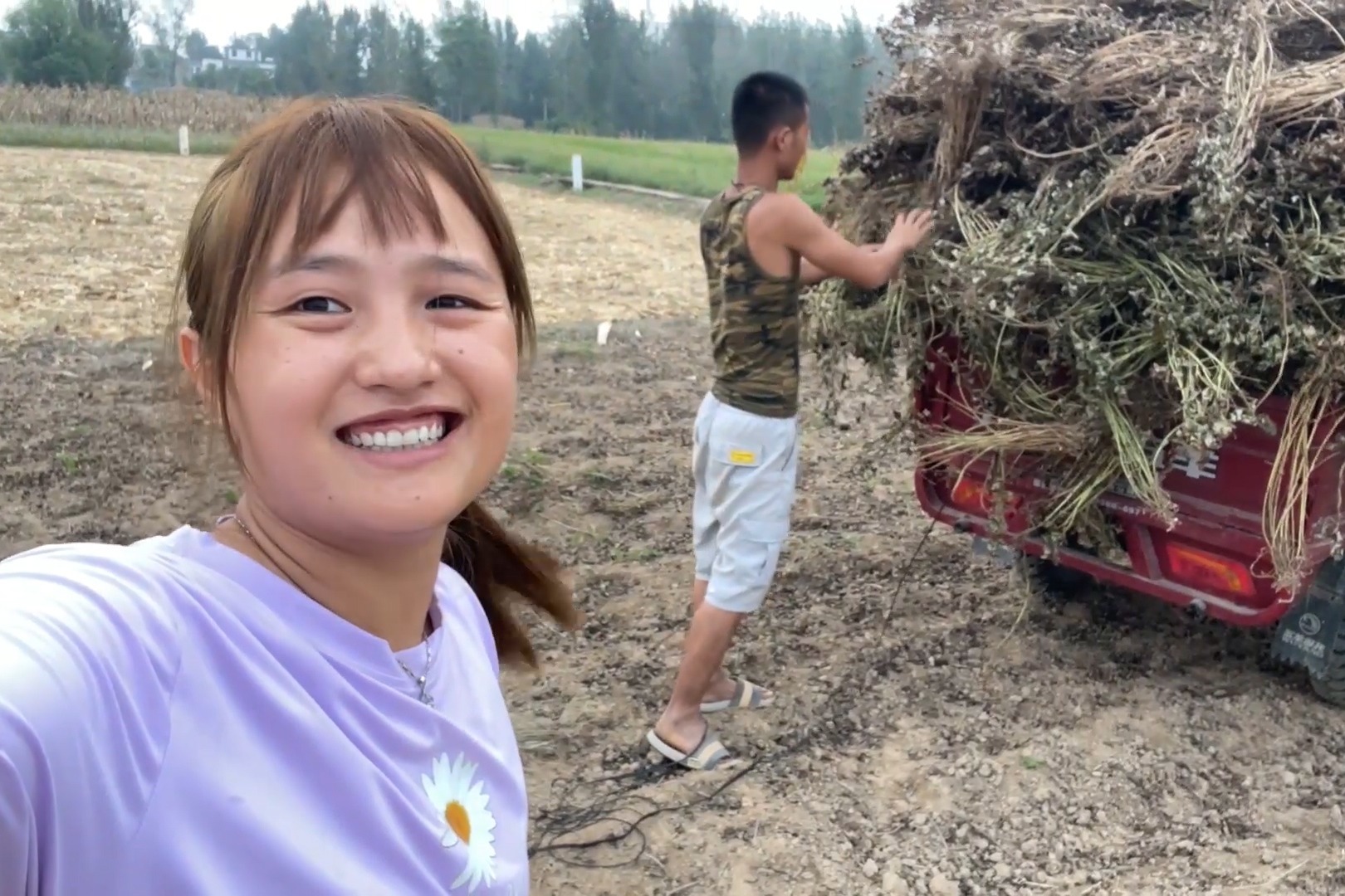 媳妇真是“疯了”，天天催着我拉花生秧，俩人你一句我一句像吵架