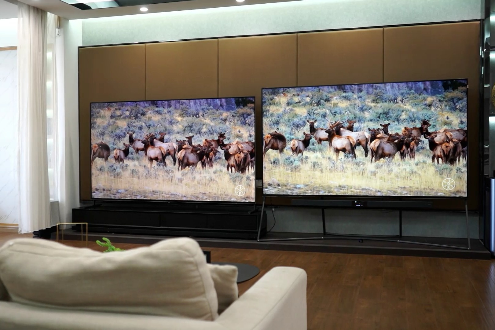 98英寸电视有多大?和姚明一样高 甚至能躺着睡觉