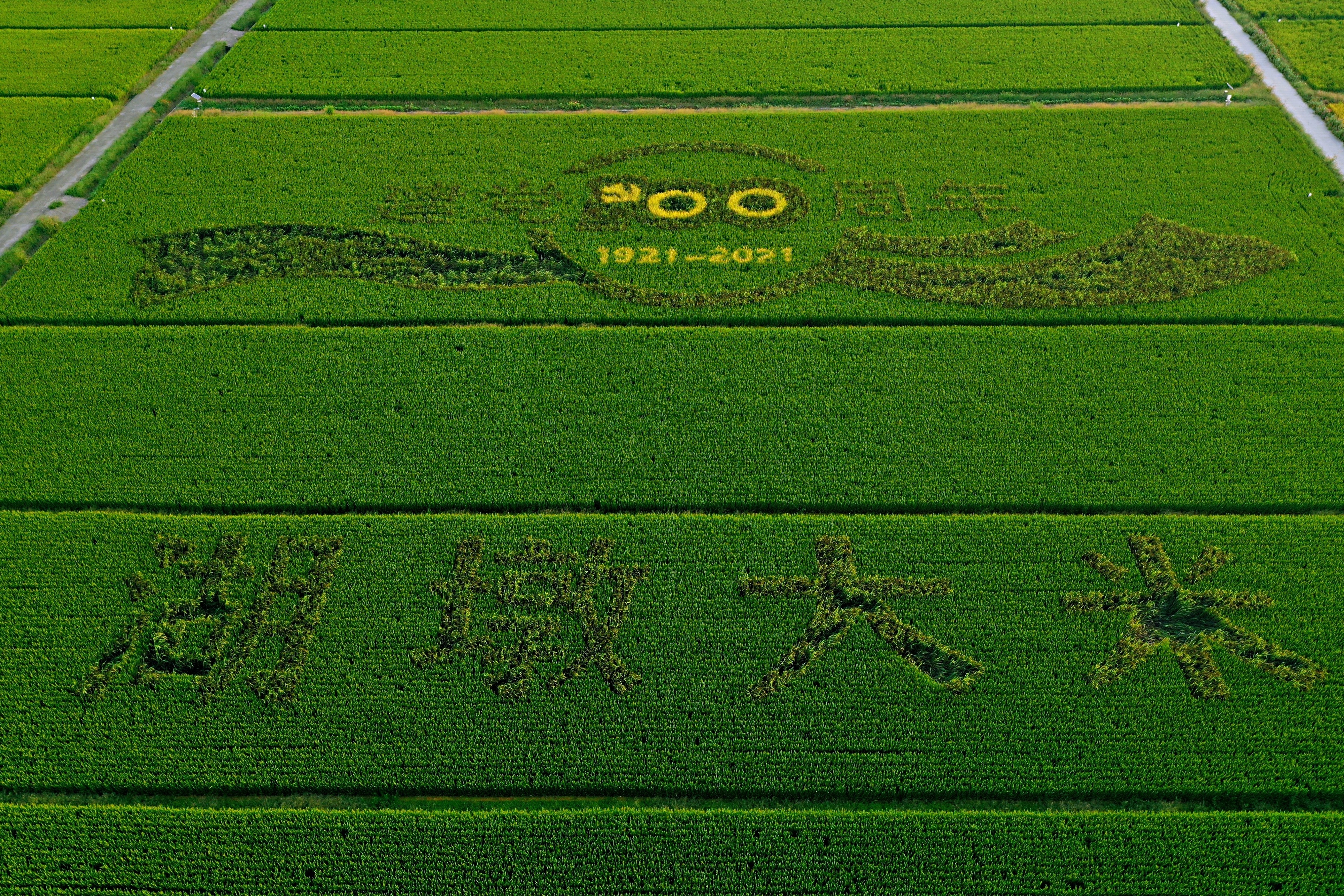 嘉善县经济技术开发区（惠民街道）第四届丰收节