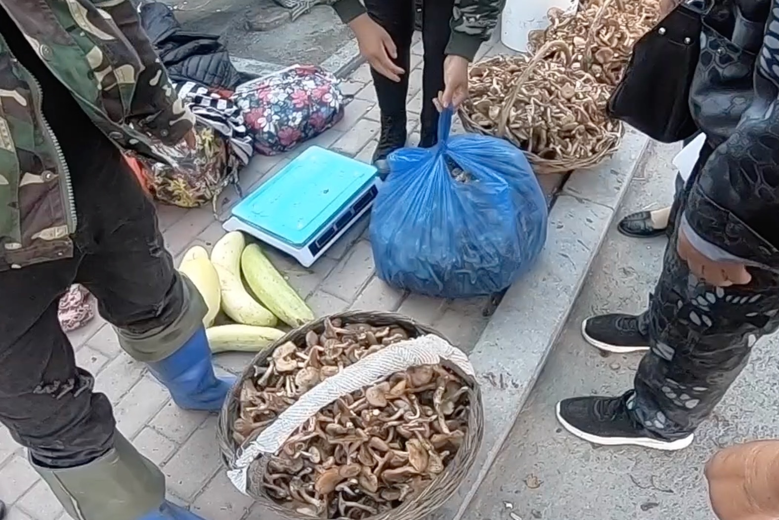 东北大森林到了蘑菇采摘季节，哈尔滨小岭镇集市全是卖榛菇的