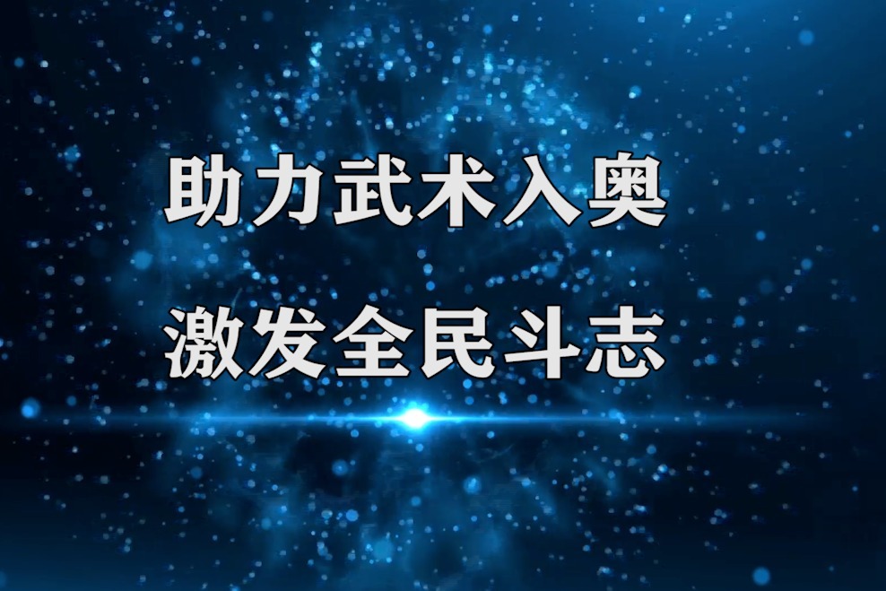 助力武术入奥 激发全民斗志