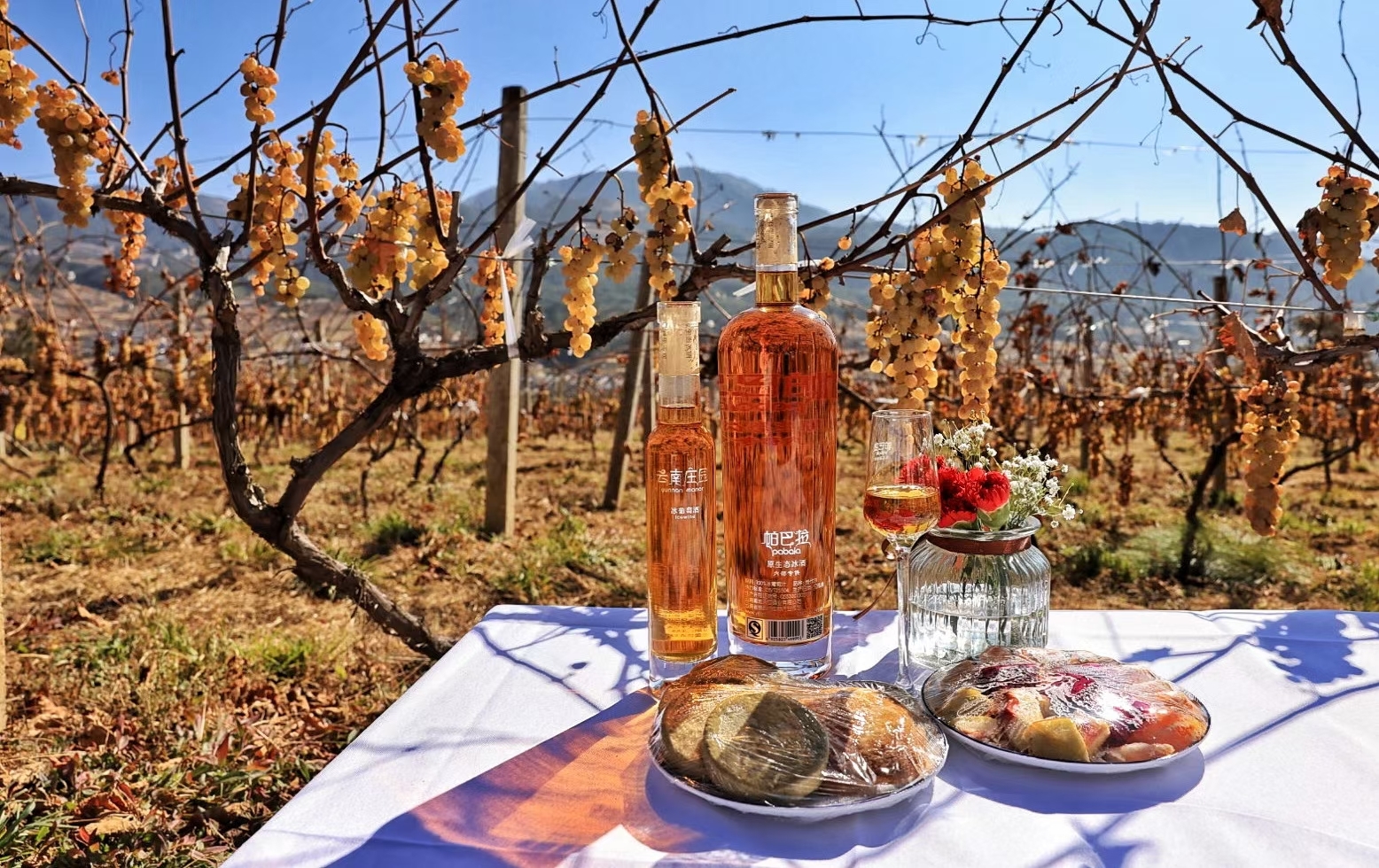 云南高原特色帕巴拉冰酒成为联合国生物多样性大会"指定产品"__凤凰网