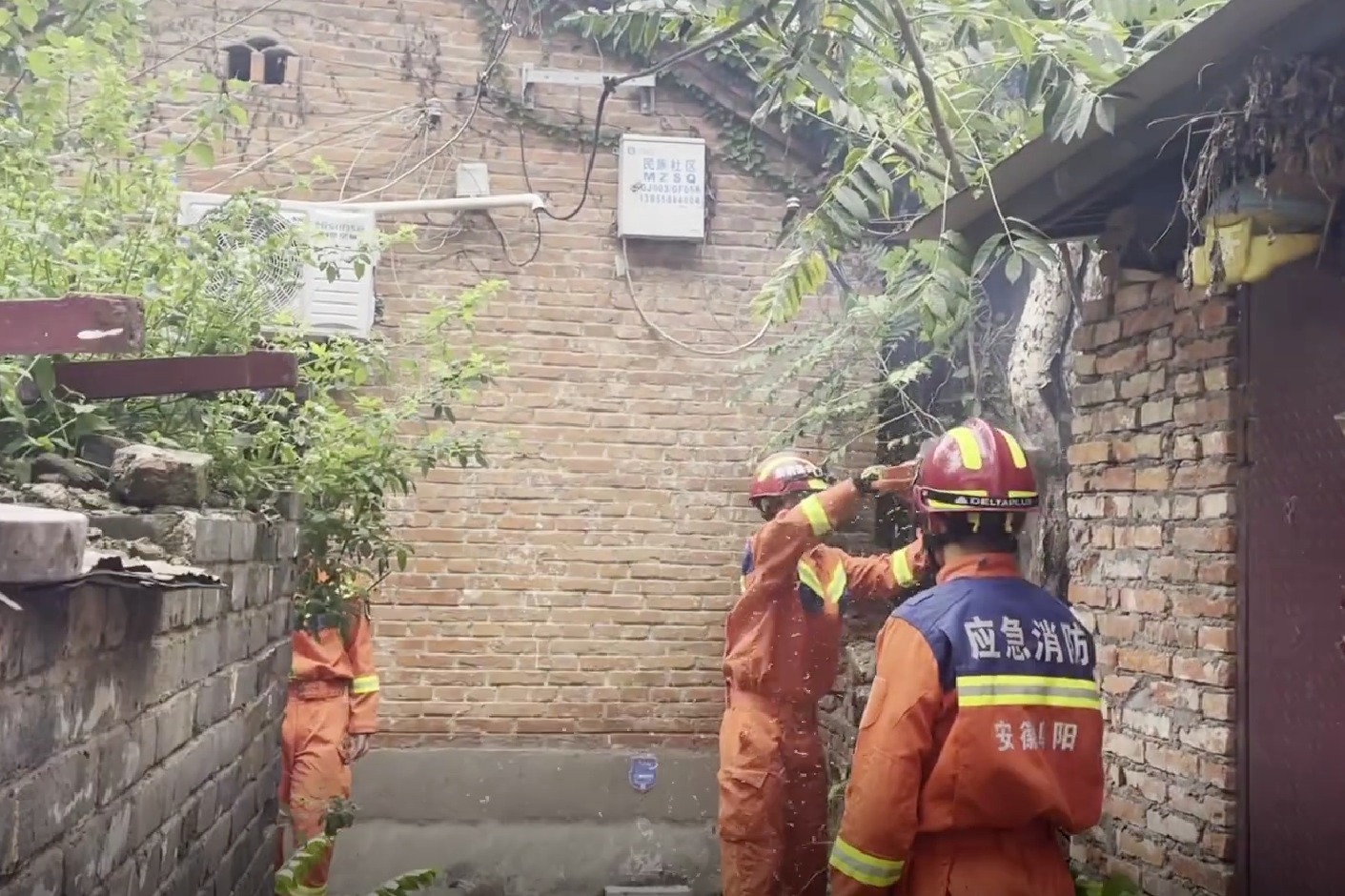 狂风暴雨大树摇摇欲坠 阜阳消防锯树解民忧！