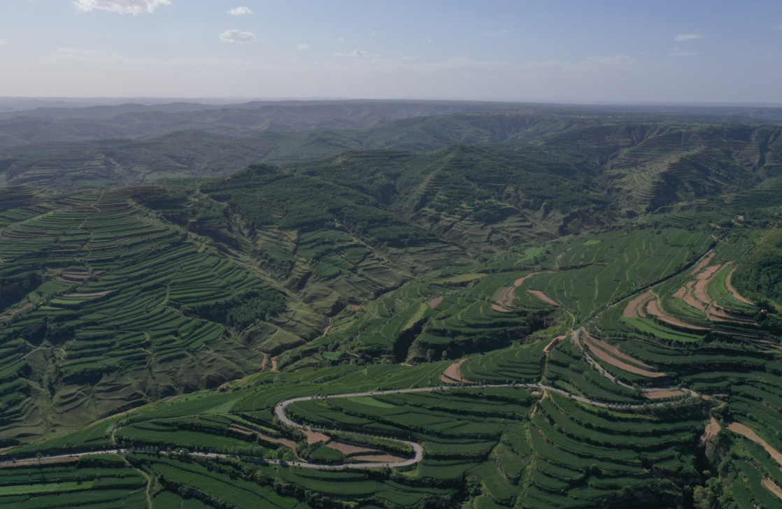 【图片新闻】甘肃灵台:今年已完成造林绿化5.6万亩