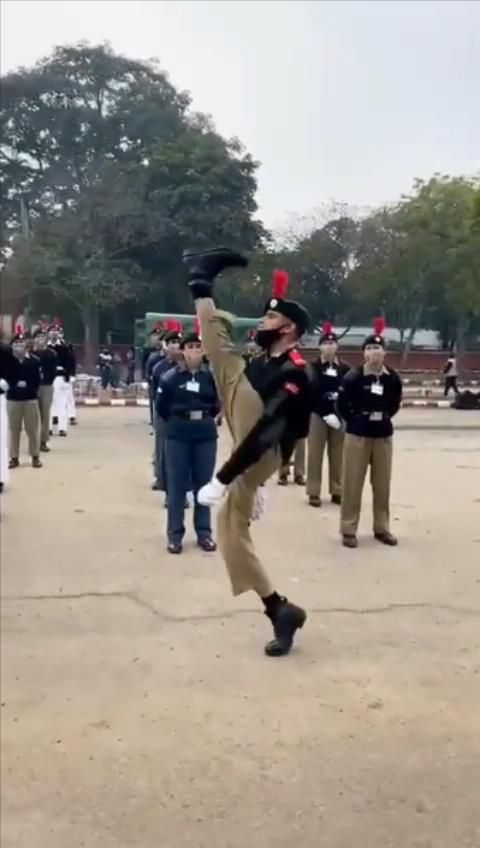 这种步伐到底有什么魅力-走出张嘉译的步伐曾经火爆抖音 (这种步伐到底是什么)