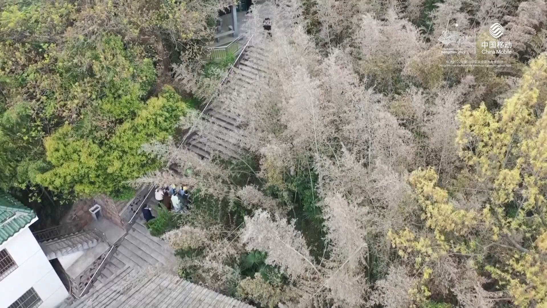 清明时节缅怀英烈 湖州市民自发祭奠“海空卫士”王伟