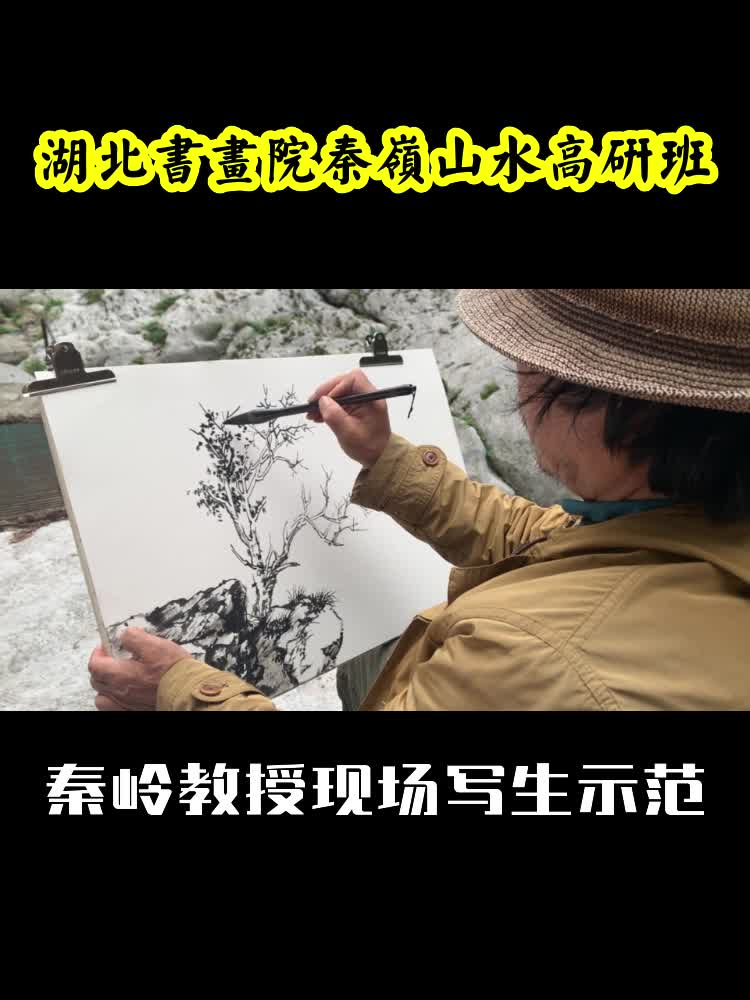 湖北书画院秦岭山水高研班-现场写生示范