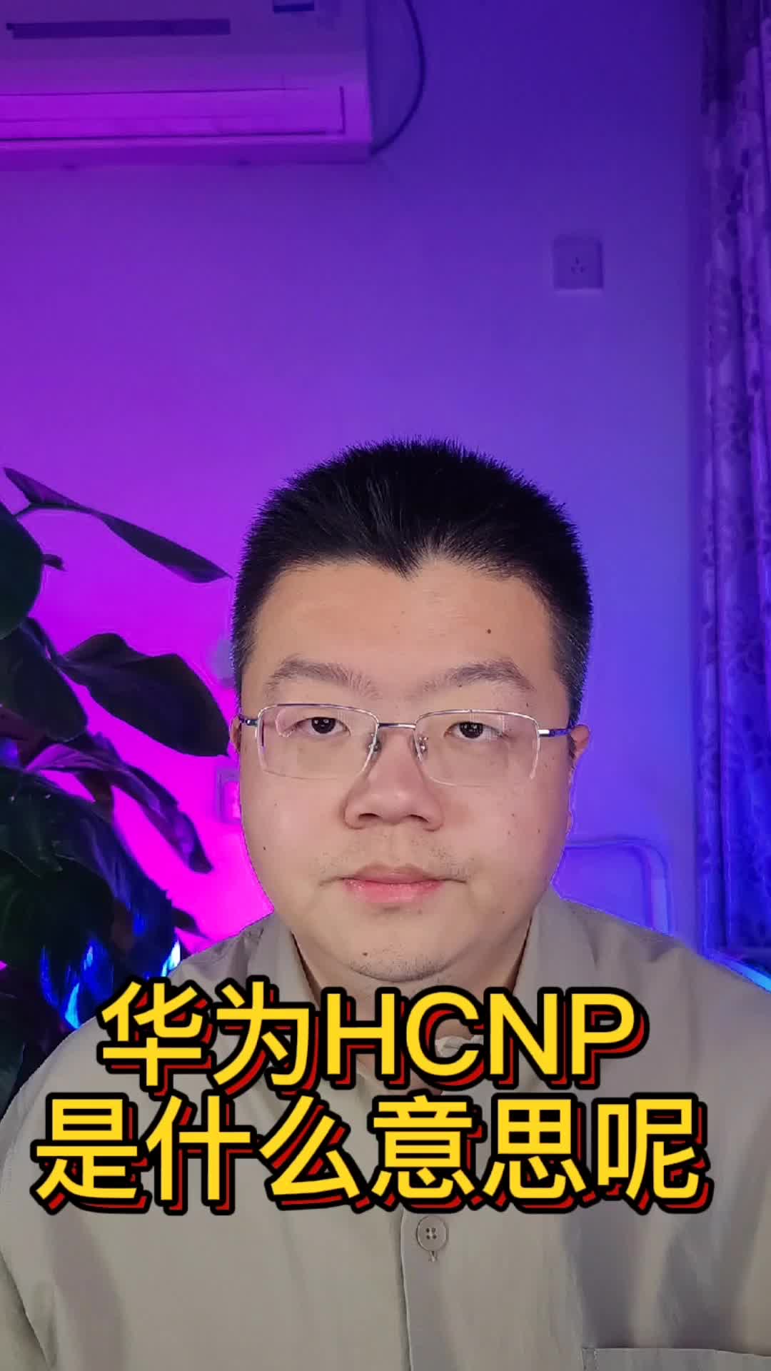 华为HCNP是什么意思呢