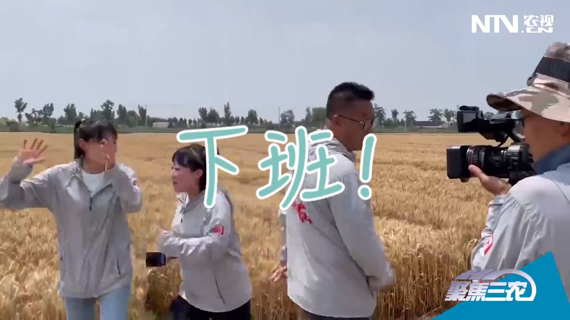 [聚焦三农]打雷了！下雨收麦子了！