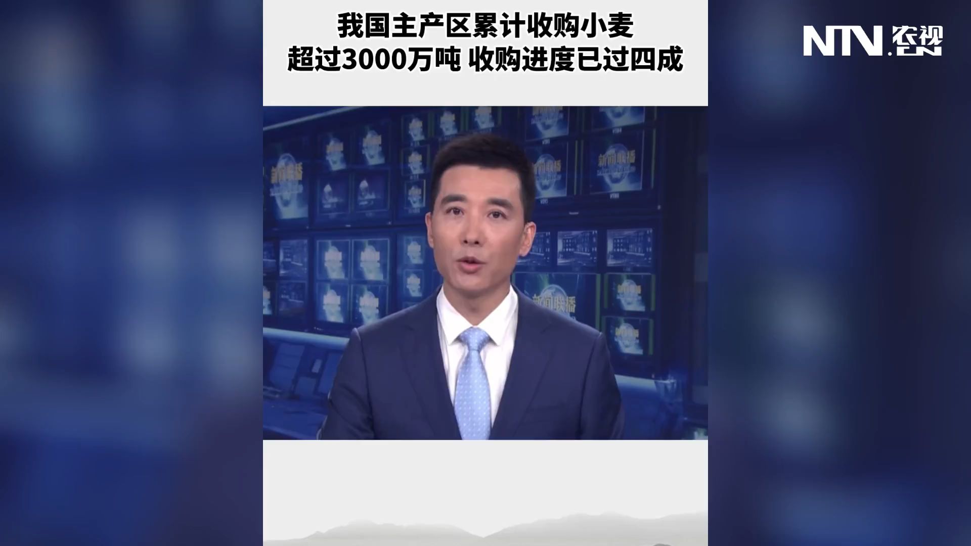 我国主产区累计收购小麦超过3000万吨 收购进度已过四成