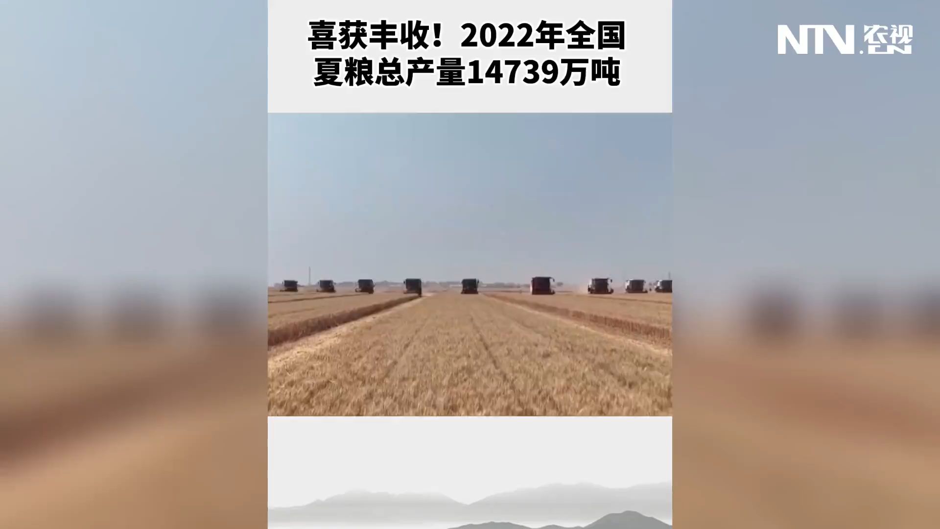 喜获丰收！2022年全国夏粮总产量14739万吨