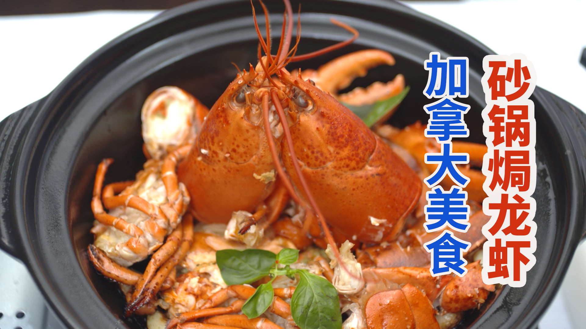粤味砂锅焗加拿大龙虾，红润亮泽喜庆养眼