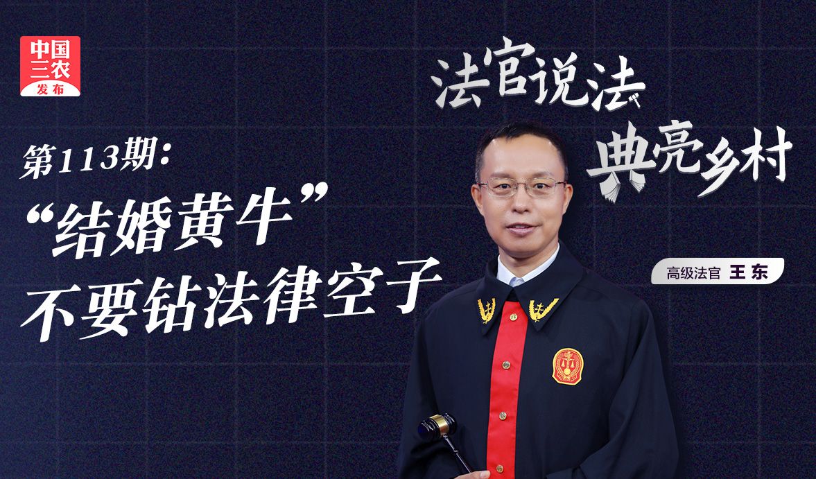 [法官说法]“结婚黄牛”不要钻法律空子