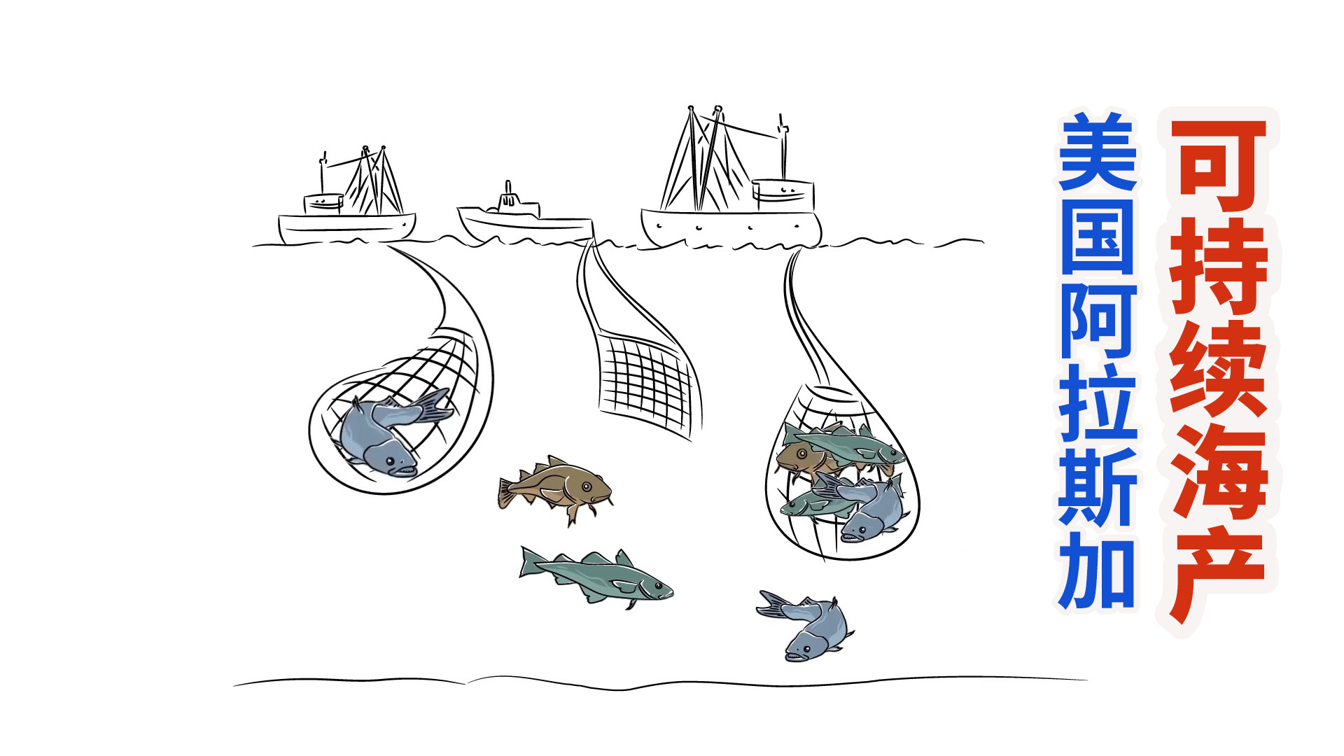 美国阿拉斯加可持续海产渔业，狭鳕鱼帝王蟹源源不绝