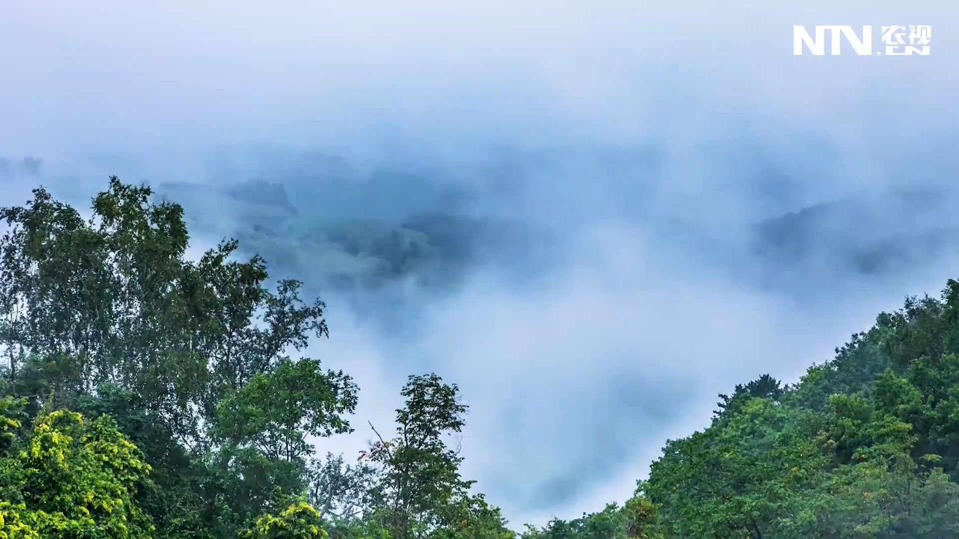 传承发展人参文化，打造长白山地区“林海参乡”品牌