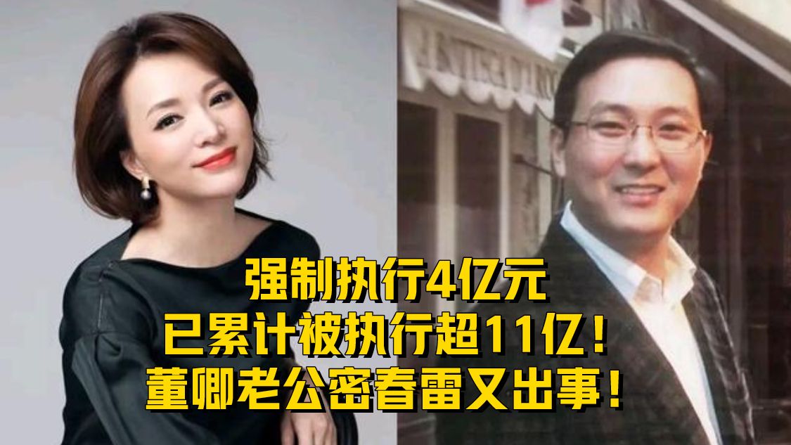 强制执行4亿元，已累计被执行超11亿！董卿老公密春雷又出事