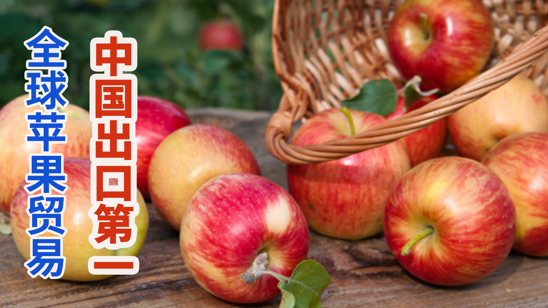 全球苹果进出口贸易，中国苹果出口量稳居第一