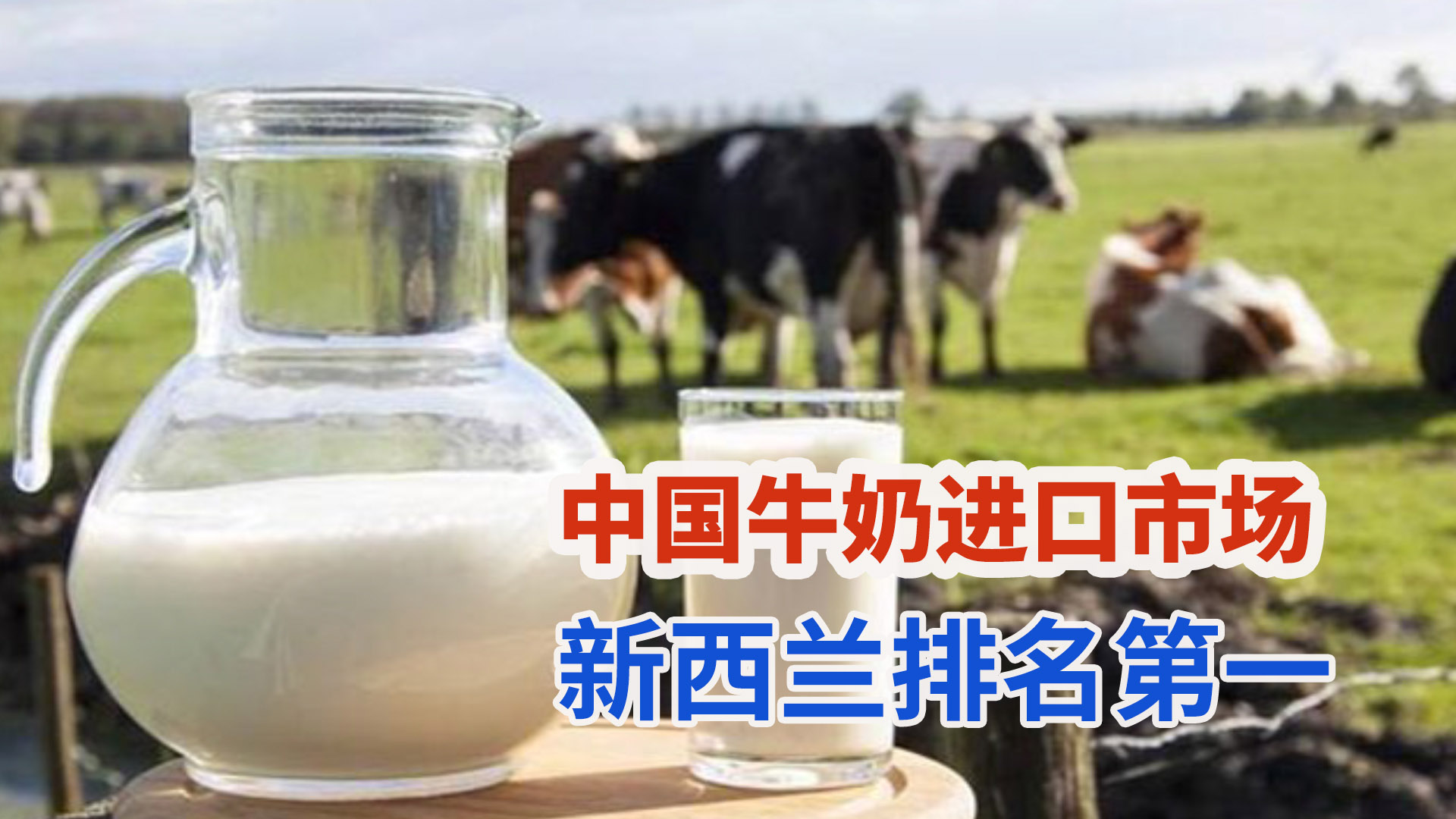 中国牛奶奶粉进口市场：新西兰稳坐乳制品头把交椅