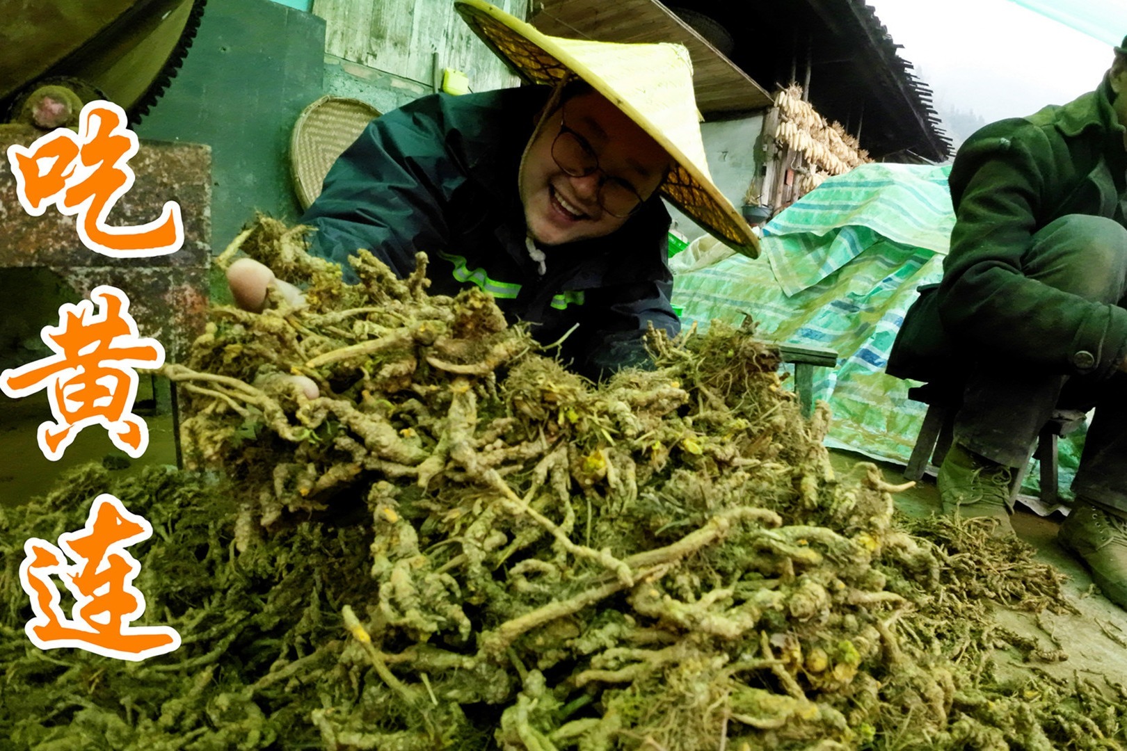 农村3兄弟作死挑战吃黄连,一口下去脸色都变了,直呼太上头!