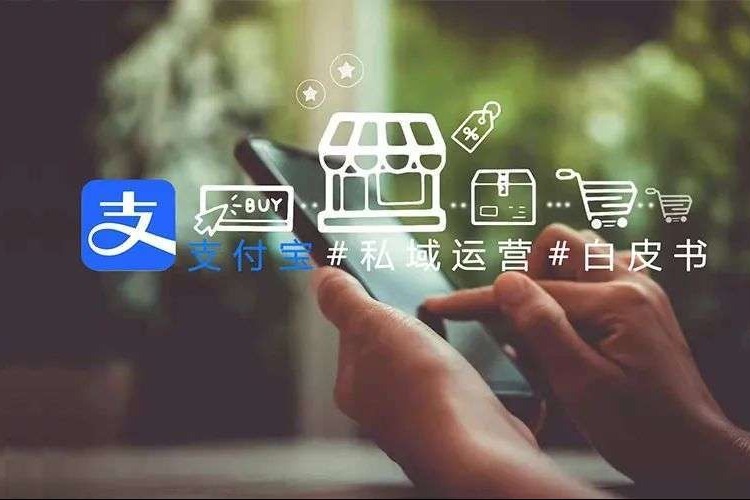 支付宝应用公钥设置详解：RSA与SM2算法选择与操作要点 (支付宝应用平台)-初仟社区