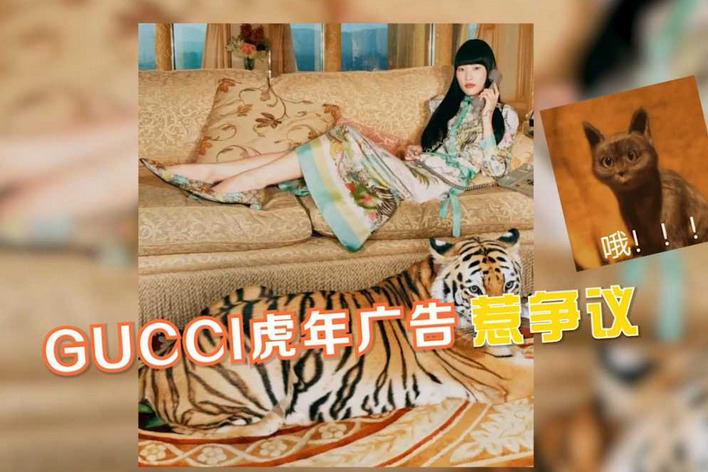 Gucci虎年广告用了真老虎，国外动保组织怒了