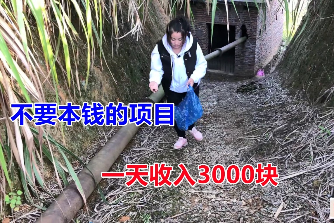 赚钱的路子来了，不要本钱，新鲜一斤卖50块，晒干后卖300块一斤！