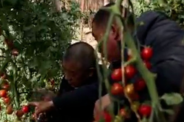 马志祥 张掖市甘州区长安镇前进村党委书记
