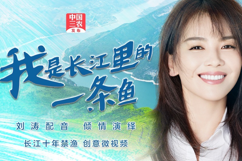 我是长江里的一条鱼