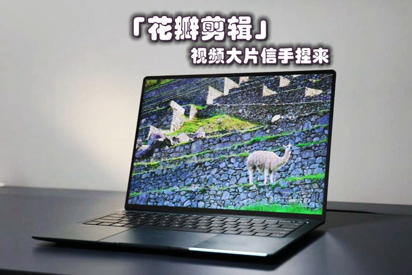 华为花瓣剪辑体验：助你一键生成大片 每个人都可讲自己的故事