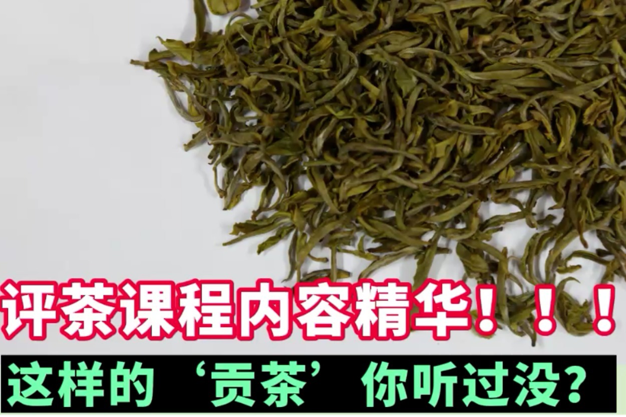 黄茶科普：这样的‘贡茶’你听过没？