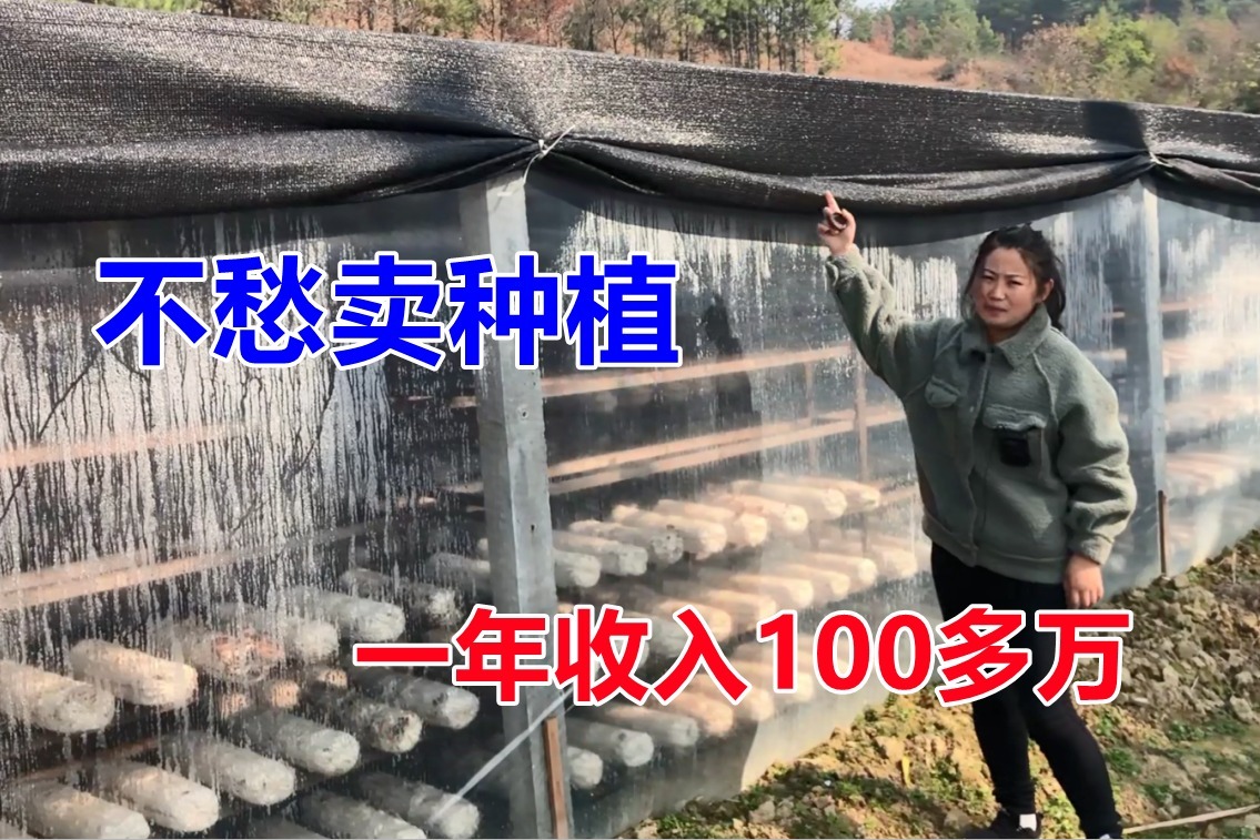 企业一年赚多少钱 (多少钱一年企业邮箱)(图2) 企业一年赚多少钱