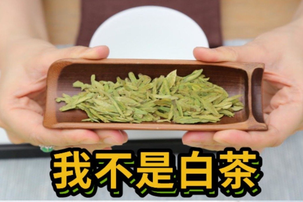 茶知识科普：“安吉白茶”是绿茶？挑选精品茶叶，1分钟看明白