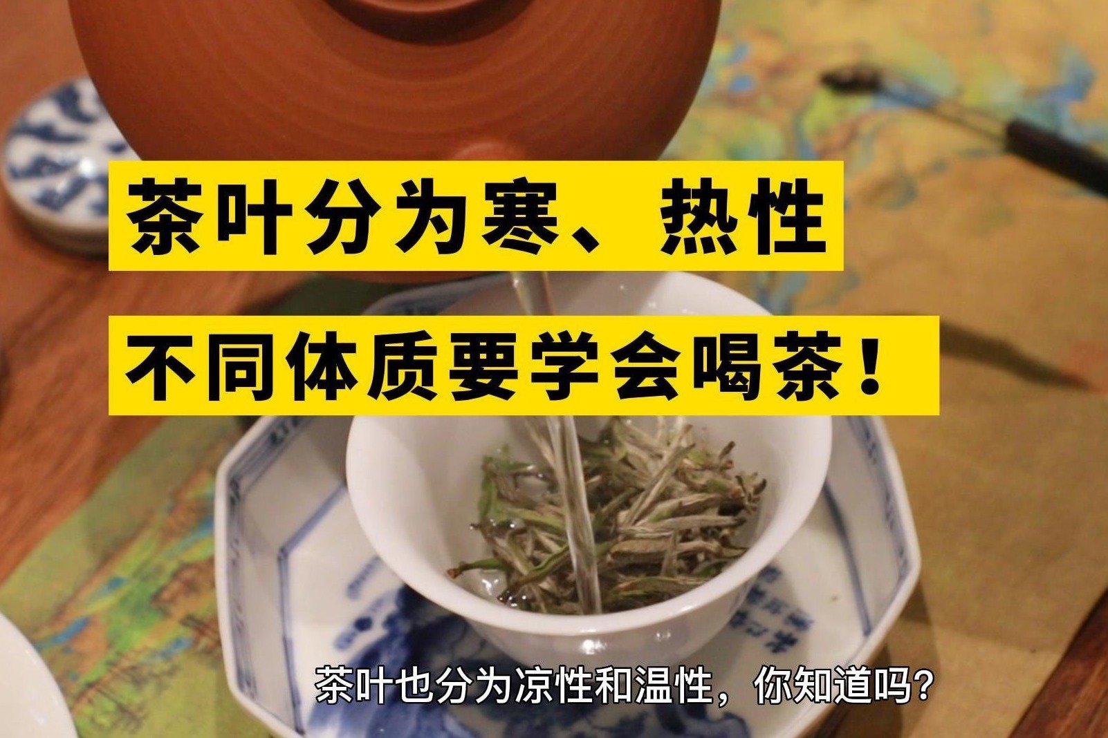 进来学习！不同体质，该如何养生喝茶？茶行业知识科普