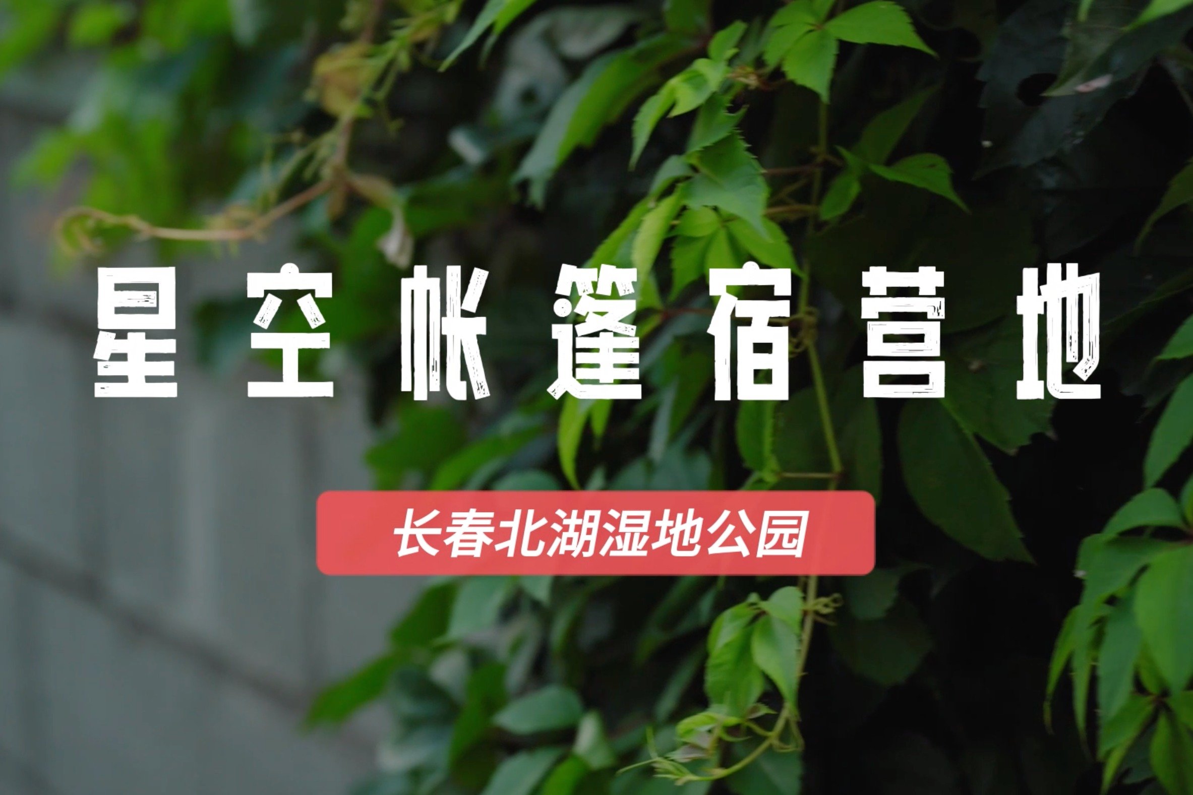 长春北湖湿地公园 星空帐篷宿营地