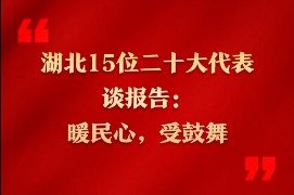 湖北15位二十大代表谈报告：暖民心，受鼓舞