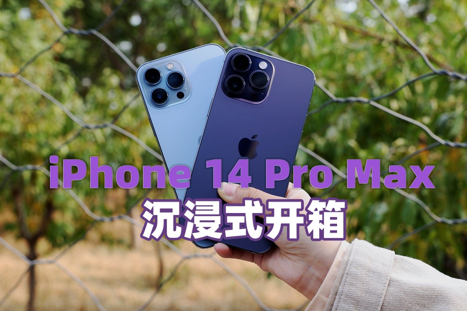 iPhone 14 Pro Max沉浸式开箱：暗夜紫配色，全新「灵动岛」设计